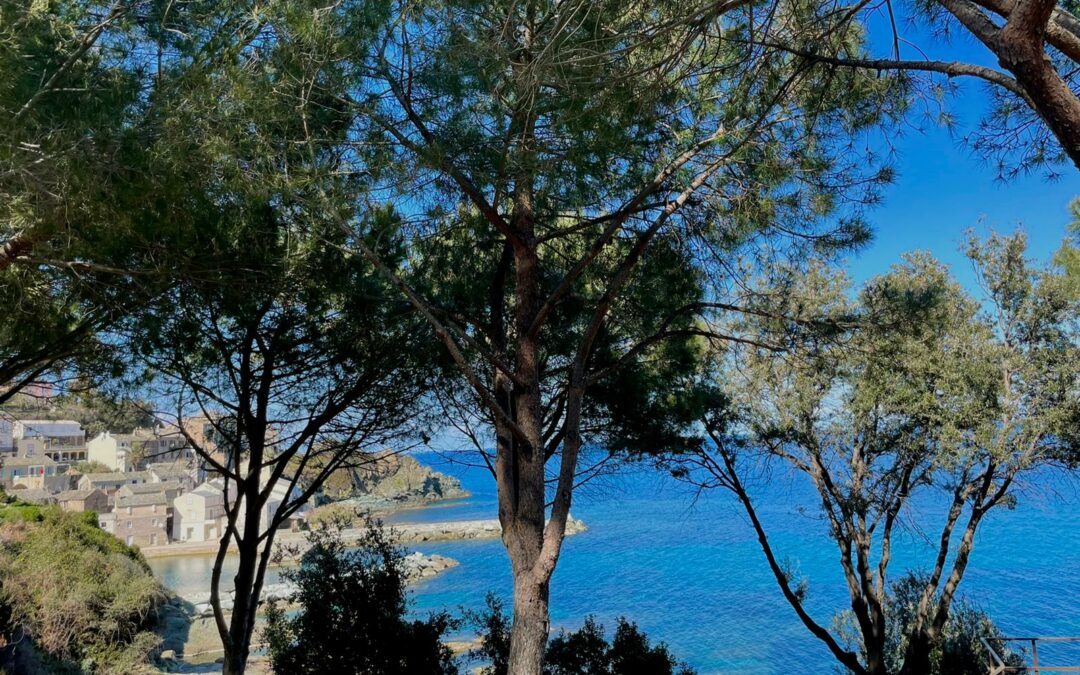 L’identité corse dans la mode : pourquoi porter The Corsica Face ?