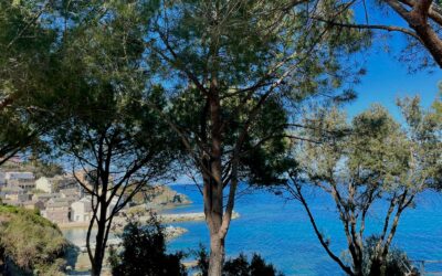 L’identité corse dans la mode : pourquoi porter The Corsica Face ?