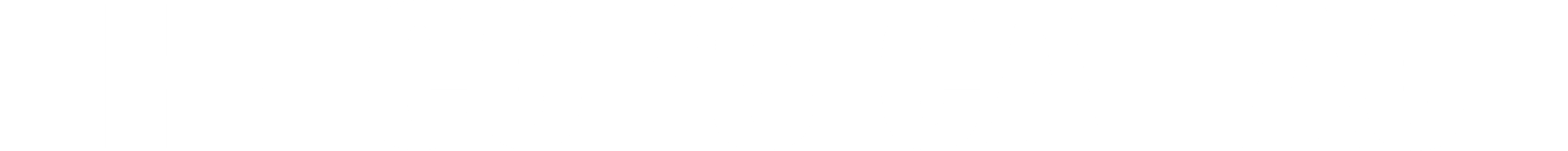 logo exe blanc_ligne